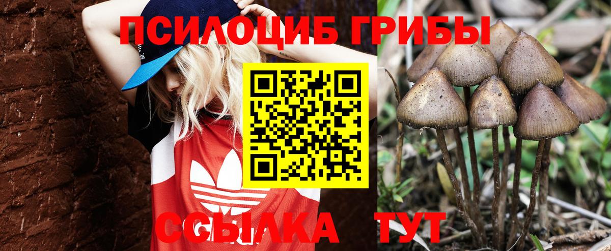 Псилоцибиновые грибы прущие грибы Кимовск