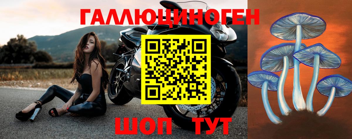 Кимовск  Псилоцибиновые грибы Magic Shrooms  Псилоцибиновые грибы мицелий  Вход с VPN 